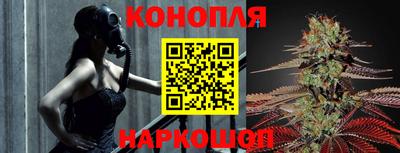 МДПВ Новодвинск