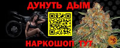 МДПВ Новодвинск