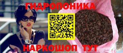 МДПВ Новодвинск