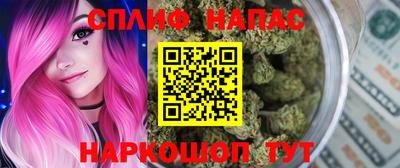 МДПВ Новодвинск