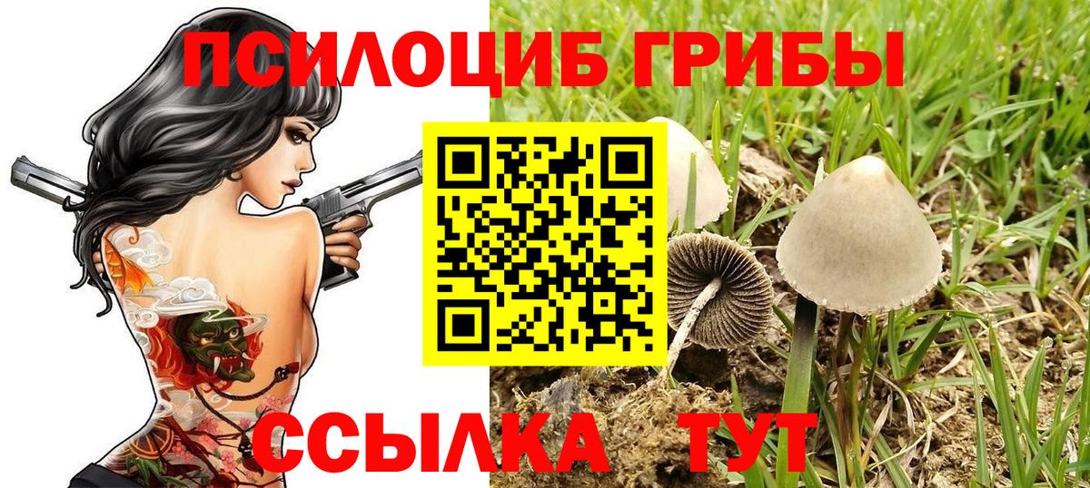 Новочеркасск  Галлюциногенные грибы прущие грибы  купить наркоту  Вход с VPN 