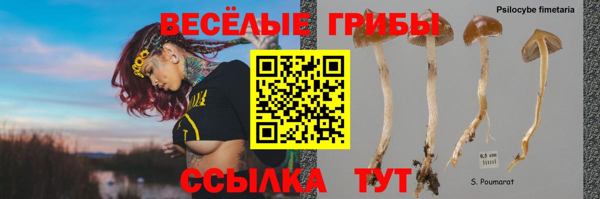 Галлюциногенные грибы ЛСД Новочеркасск